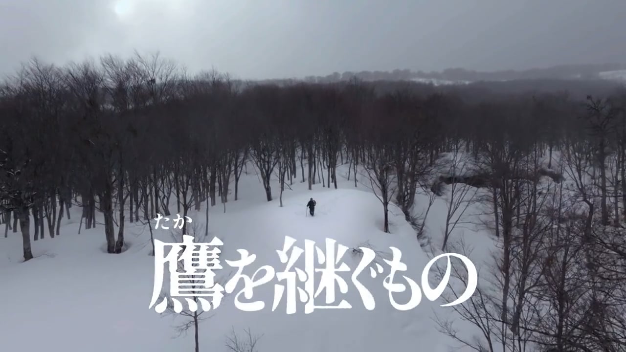 鷹を継ぐもの