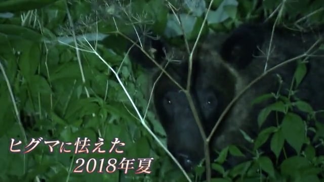 クマと民主主義～記者が見つめた村の１年10か月～