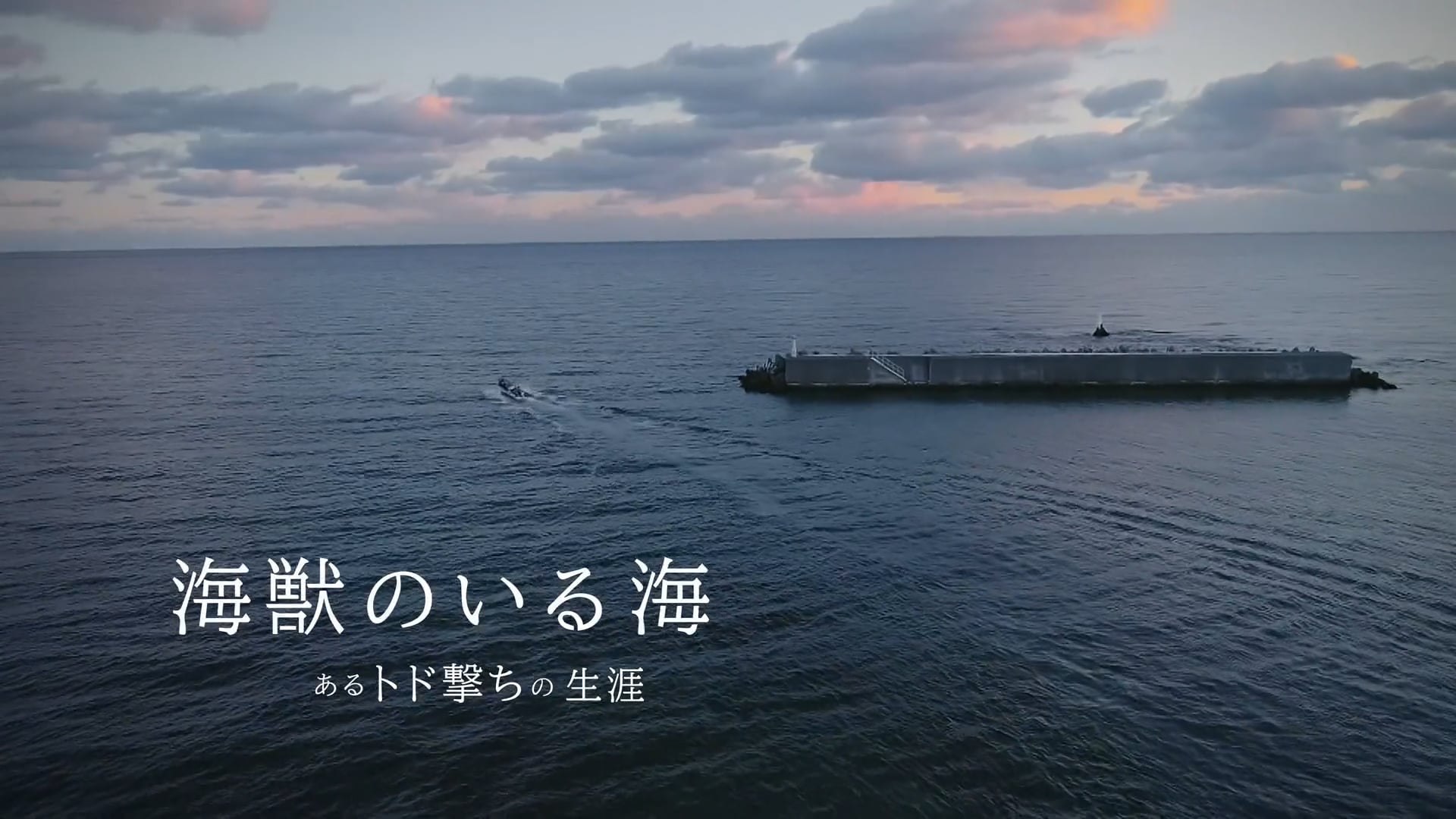 NHKスペシャル 海獣のいる海 あるトド撃ちの生涯