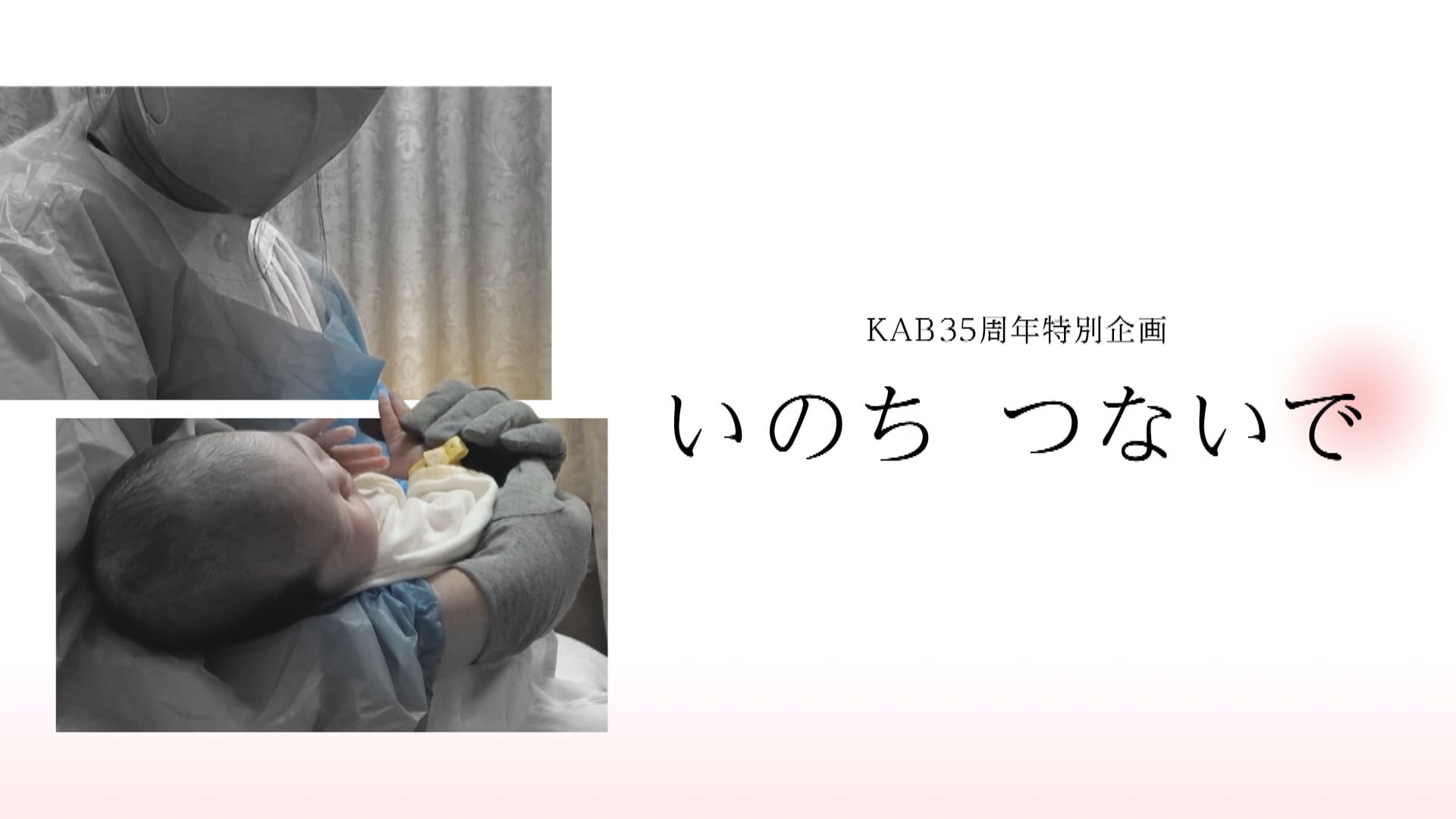 いのち つないで