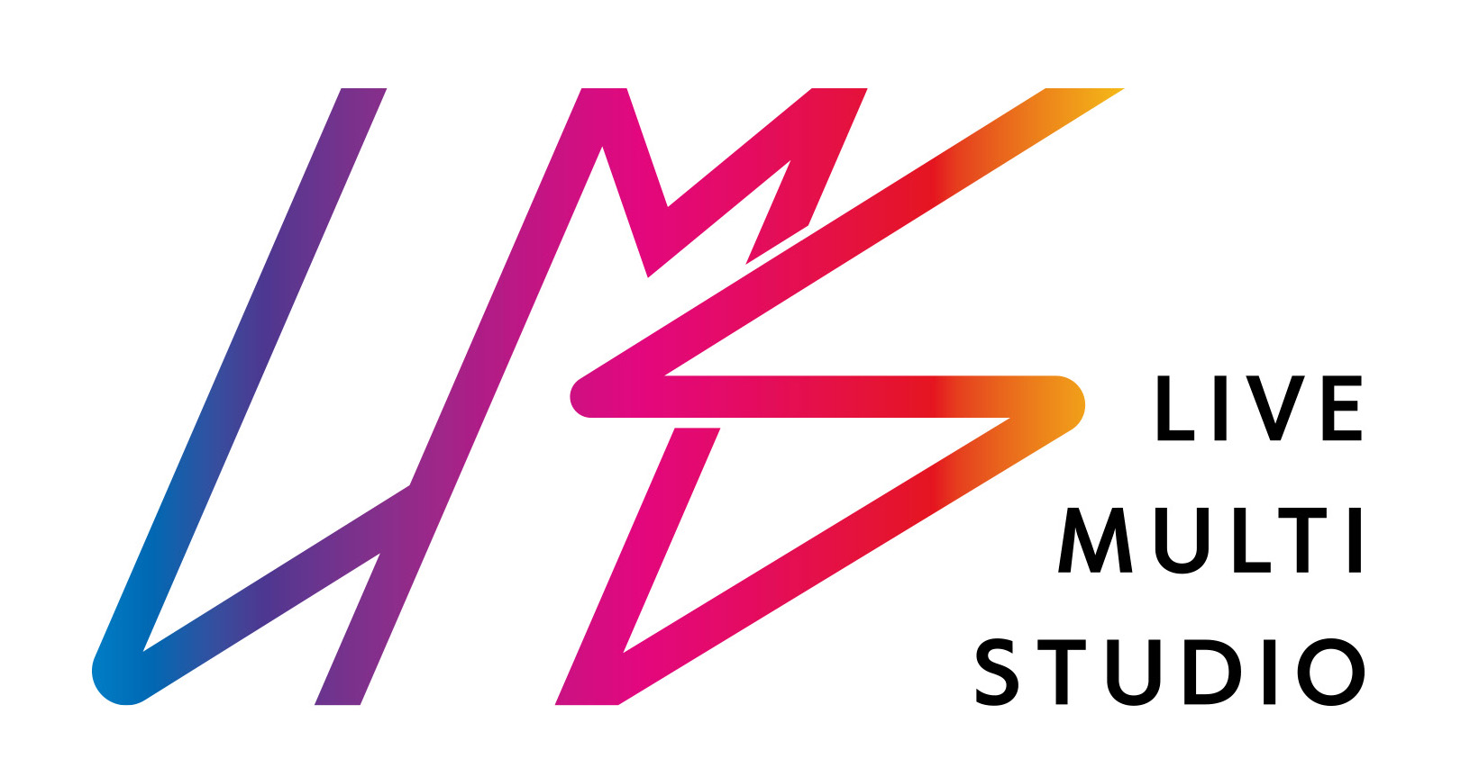 映像伝送ソフトウェア「Live Multi Studio」の開発
