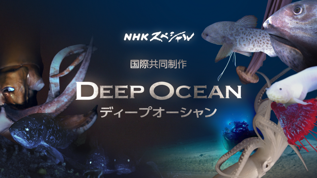 長年にわたり深海シリーズを制作し世界へ国際展開した実績